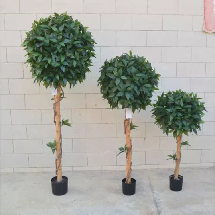 Artificial Laurel Tree