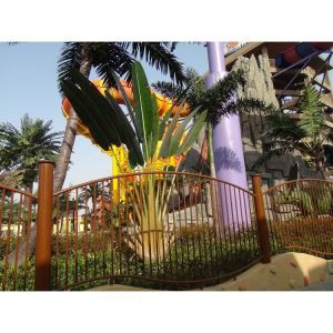 Mākslīgo ceļotāju koks