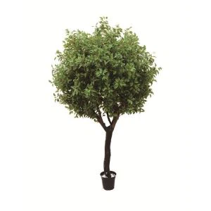 Ficus zīda koku Hobby Lobby